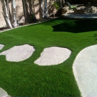 Synthetic Grass Cost Malakoff, Texas Landscaping Business, Small Backyard Ideas