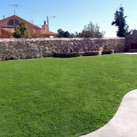 Synthetic Grass Shepherd, Texas City Landscape, Small Backyard Ideas