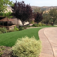 Synthetic Grass West University Place, Texas Design Ideas, Small Front Yard Landscaping