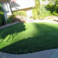 Synthetic Grass Winnsboro, Texas Rooftop, Front Yard Landscaping Ideas