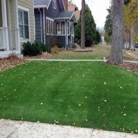 Synthetic Lawn Port Lavaca, Texas Design Ideas, Front Yard Landscaping