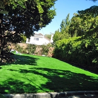 Synthetic Turf Grapevine, Texas Lawn And Landscape, Backyard Landscape Ideas