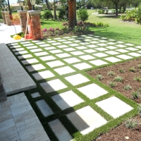 Synthetic Turf Jasper, Texas Lawn And Landscape, Backyard Ideas