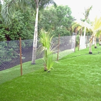 Synthetic Turf Supplier Pearsall, Texas Backyard Playground, Backyard