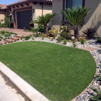 Turf Grass Bellaire, Texas Rooftop, Front Yard Landscaping Ideas