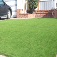 Turf Grass Lavon, Texas City Landscape, Front Yard Landscape Ideas