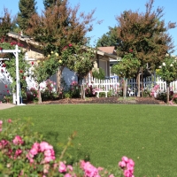 Turf Grass Reno, Texas Paver Patio, Front Yard Landscaping