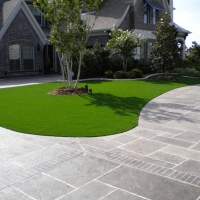 Turf Grass Rockdale, Texas Gardeners, Front Yard